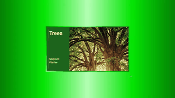 A pure css responsive animated info card built with modern frontend techniques for responsive and reusable UI.