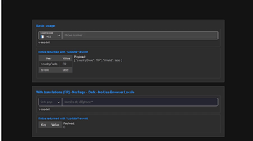 A vue phone number input built with modern frontend techniques for responsive and reusable UI.
