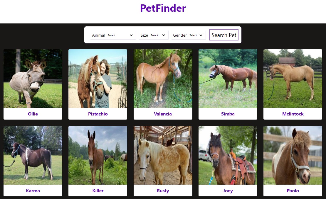 A a browsable catalogue of pets using react and redux that enables users to filter and access details built with modern frontend techniques for responsive and reusable UI.