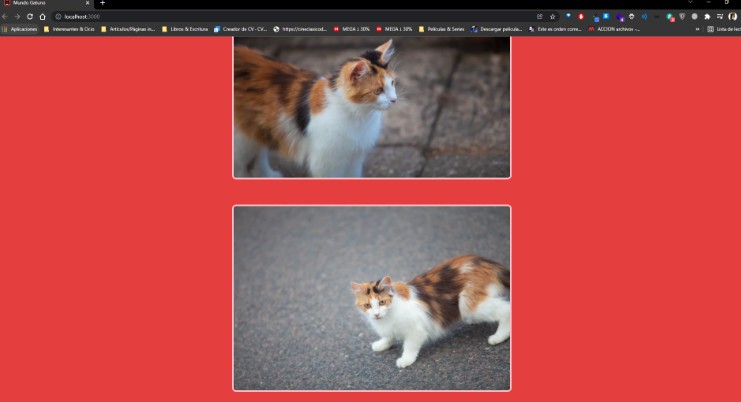 A a web application made in react built with modern frontend techniques for responsive and reusable UI.