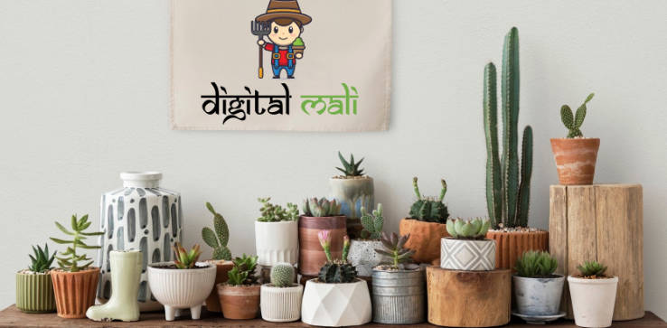 A a high-quality marketplace for gardening tools and plants, built with react and typescript built with modern frontend techniques for responsive and reusable UI.