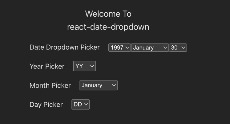 A a highly customisable react date dropdown library built with modern frontend techniques for responsive and reusable UI.