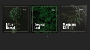 A 3d css perspective cards with depth built with modern frontend techniques for responsive and reusable UI.